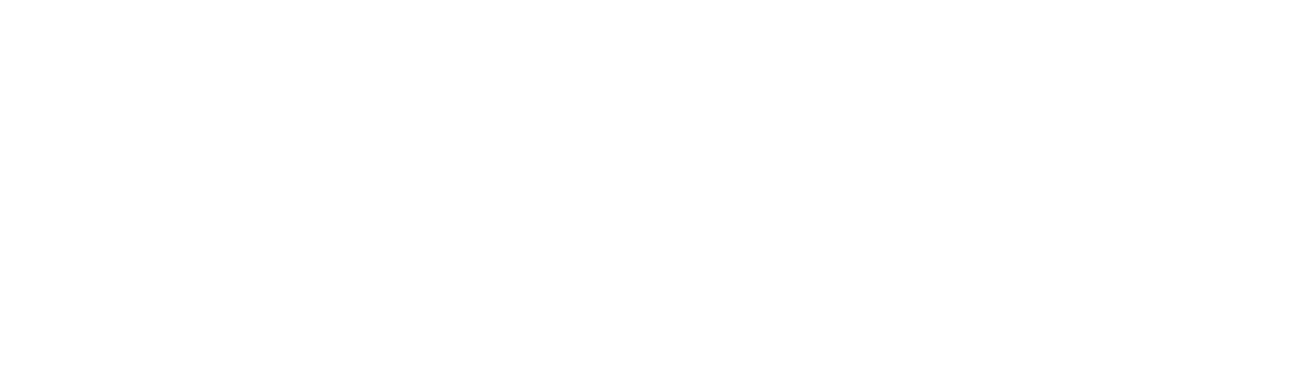 Direct Logistics - company logo - reversed Direct Logistics - company logo - reversed